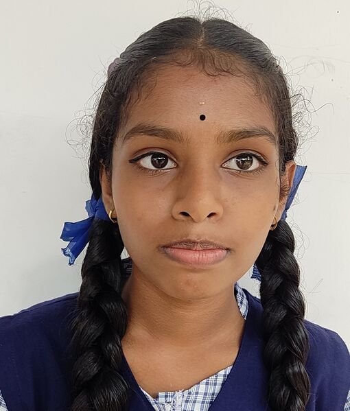 പ്രമാണം:22076 krishnanjali LK 2024.jpg