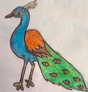 24668-TSR-KUNJ-ANGHA K.jpg