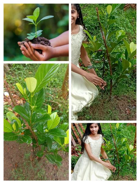 പ്രമാണം:25071 envclub.jpg