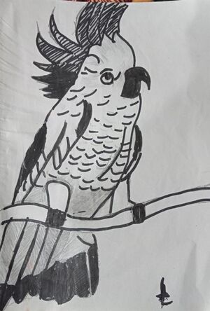 33056 talent 2022 37.jpeg