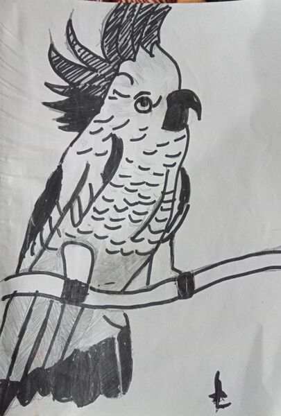 പ്രമാണം:33056 talent 2022 37.jpeg