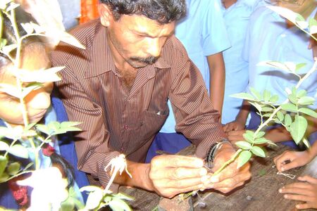 ബഡ്ഡിംഗ്, ഗ്രാഫ്റ്റിംഗ്,ലെയറിങ്ങ് പരിശീലനവും സസ്യപ്രദർശനവും