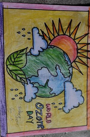 47045-ozone day 3.jpeg