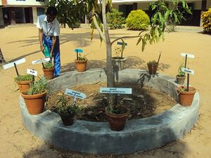 Dasapushpam garden.jpg