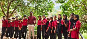 15075 LITTILE KITES.jpeg