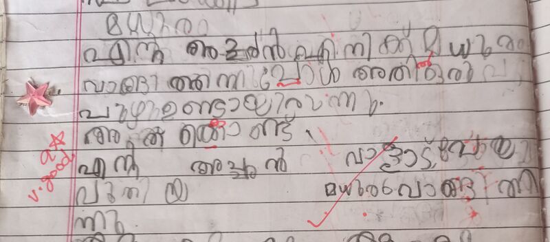 പ്രമാണം:15448 -WYD-KUNJ-CATHERINE DAVIS.jpg