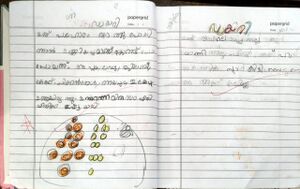 15509-WYD-KUNJ-JAZA N-1 A.jpeg