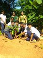 20:04, 25 ഓഗസ്റ്റ് 2018-ലെ പതിപ്പിന്റെ ലഘുചിത്രം