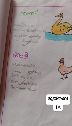 18359-MLP-KUNJ-M MUJTHABA.jpg