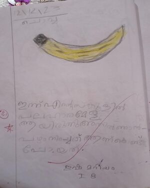 19433-MLP-KUNJ-ISHA MARIYAM N P.jpg