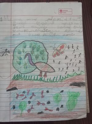 19509-MLP-KUNJ-ZIYA K.jpg