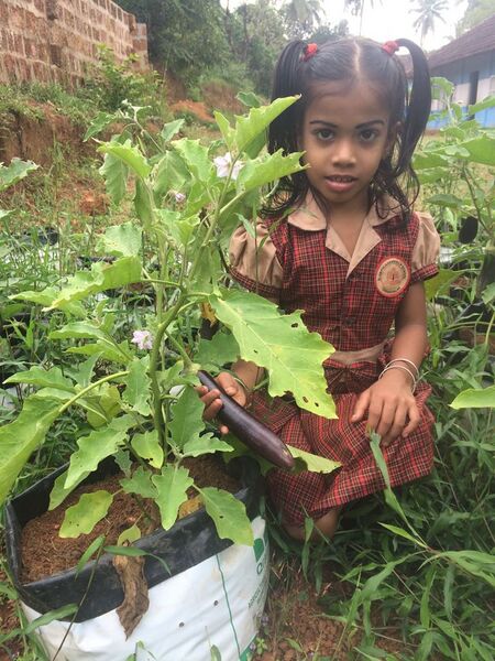 പ്രമാണം:19852-36 (4).jpg