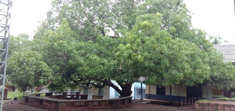 പ്രമാണം:20001 55.jpg