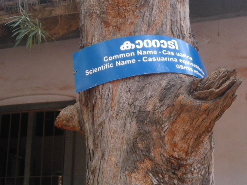 പ്രമാണം:20180917 123152naming45.jpg