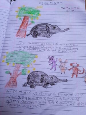 20354-pkd-kunj-abhaya m s.jpg