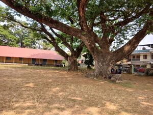 26044 GVHSS Mangayil 3.jpg