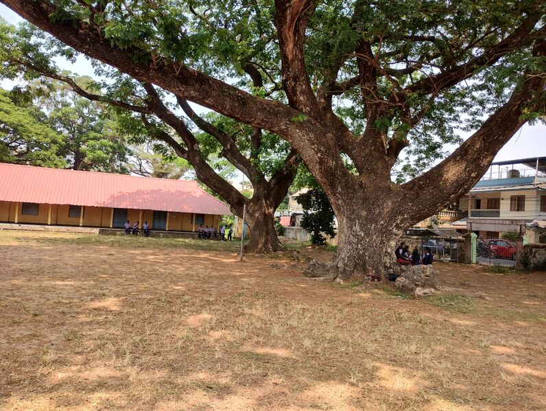 പ്രമാണം:26044 GVHSS Mangayil 3.jpg