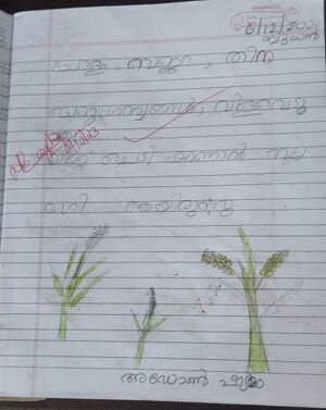 29365-IDK-KUNJ-ADON SHYAM.jpeg