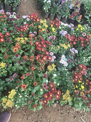 32130700301 painting.jpg