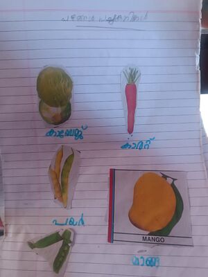 40434-KLM-KUNJ-MUHAMMAD MUSAMIL.jpg