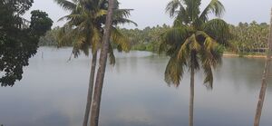 41085 ente gramam15.jpg