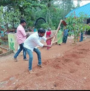 44552-പച്ചക്കറി കൃഷി മുന്നൊരുക്കം.jpg