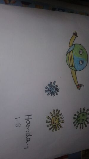 Muhammed nasique 2b.jpg