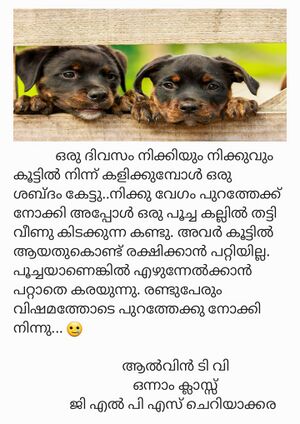 12502-KGD-KUNJ- ALVIN TV .jpeg