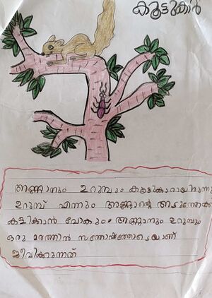 18553-MLP-KUNJ-AJVA NOURIN.jpg