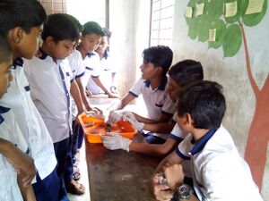 19058-sciencefair 2.jpg