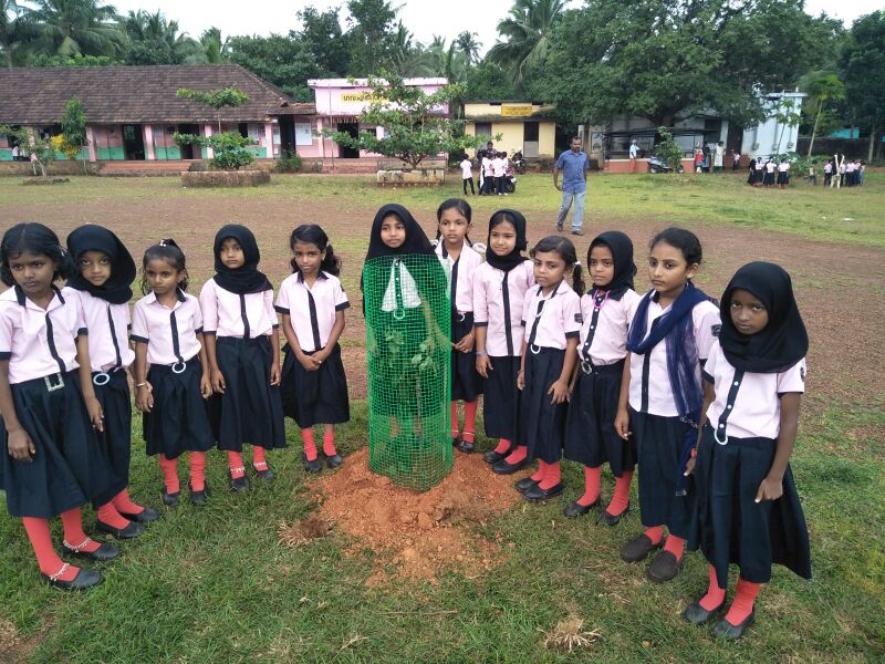 പ്രമാണം:19833 paddadikal20.jpg