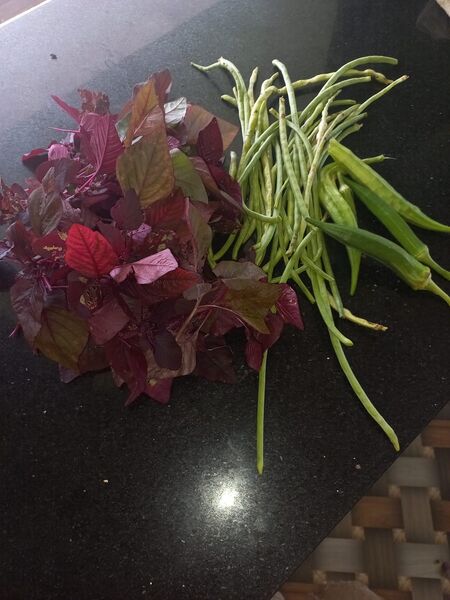 പ്രമാണം:40035 Adukalathottam.jpeg