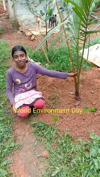 പ്രമാണം:44018 e16.jpg