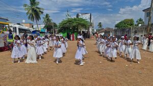 44223 shishu pro 4.jpg