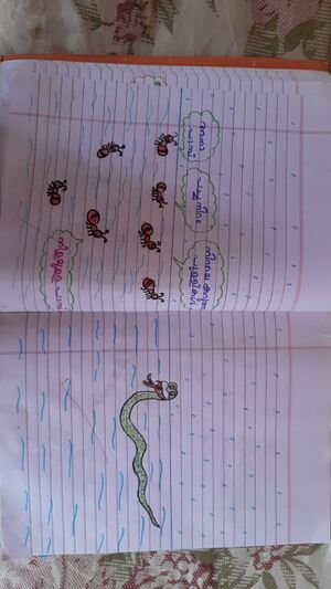 44245 tvm kunj11.jpeg