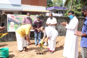 G Sudhakaran MLA planting a tree.