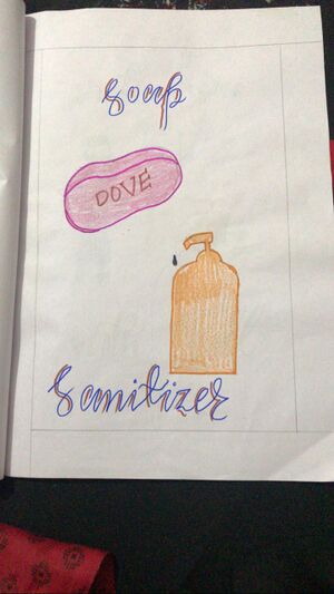 11021-Hiba Shabnam4B2.jpeg