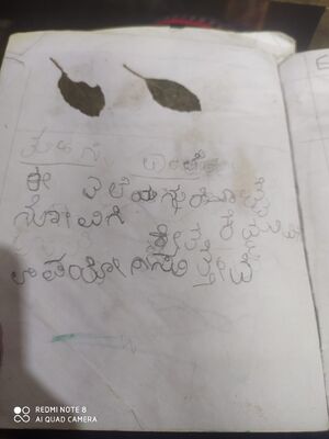 11239-KGD-KUNJ-FATHIMA SHAHBA C H.jpg