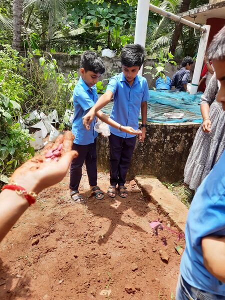 പ്രമാണം:11453 krushi9.jpeg