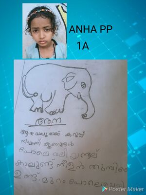 18512-MLP-KUNJ-ANHA PP.jpg