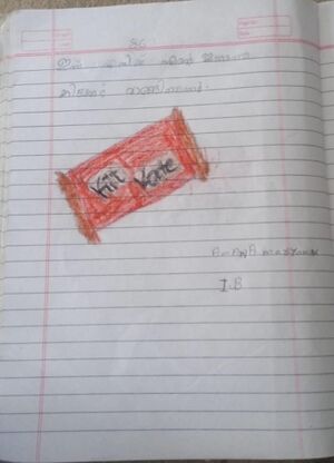 19512-MLP-KUNJ-AMANA MARYAM.jpeg