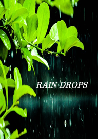 Rain Drops ---- സെന്റ് ആന്റണീസ് ജി. എച്ച്. എസ്സ്. സൌത്ത് താണിശ്ശേരി
