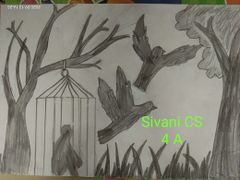 SIVANI C S STD IV