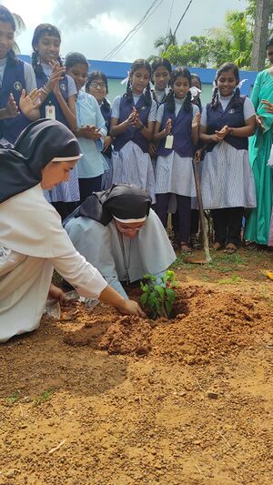 24071 environmentday1.jpeg