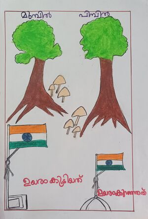 24361-TSR-KUNJ-JIYA MARIYA P J.jpg