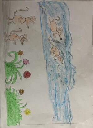 24616-TSR-KUNJ-ANANYA M.B..jpeg