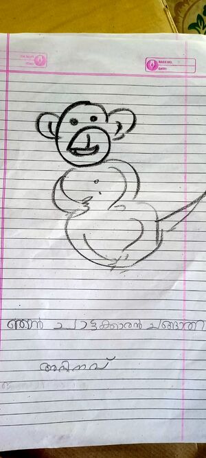 34308-ALP-KUNJ-ABHINAV SREEKUMAR.jpeg