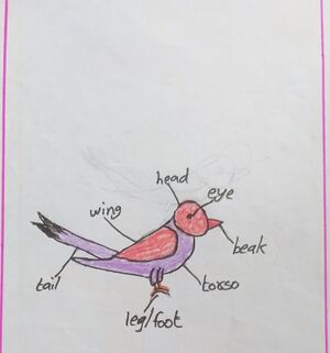 35002-ALP-KUNJ-ABHIRAM V R 36.jpg