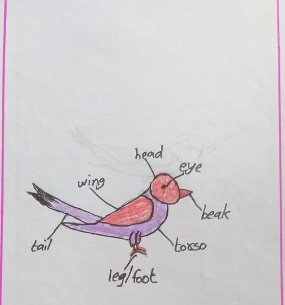 പ്രമാണം:35002-ALP-KUNJ-ABHIRAM V R 36.jpg