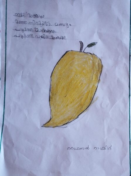 പ്രമാണം:36401-ALP-FAISAL RASHEED.jpg